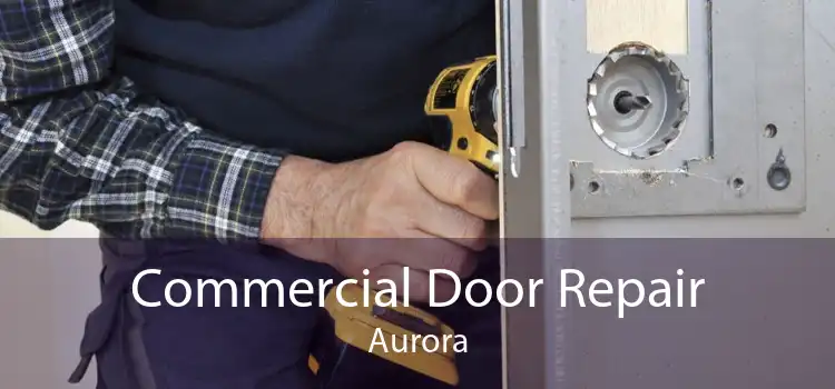 Commercial Door Repair Aurora