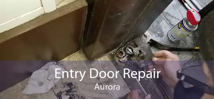 Entry Door Repair Aurora