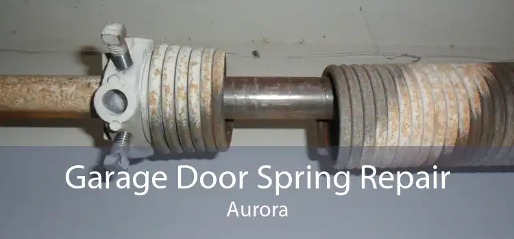 Garage Door Spring Repair Aurora