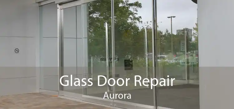 Glass Door Repair Aurora