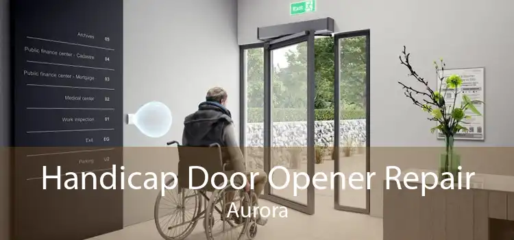 Handicap Door Opener Repair Aurora