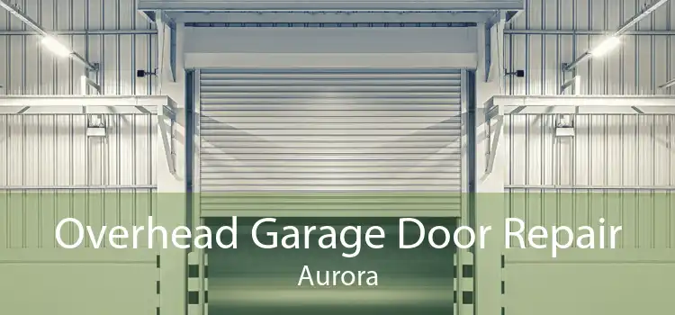 Overhead Garage Door Repair Aurora