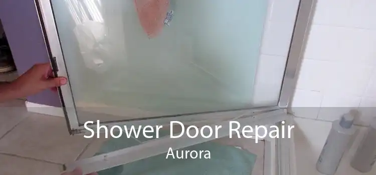 Shower Door Repair Aurora