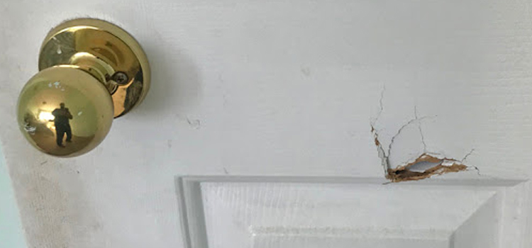 interior door hole repair Aurora