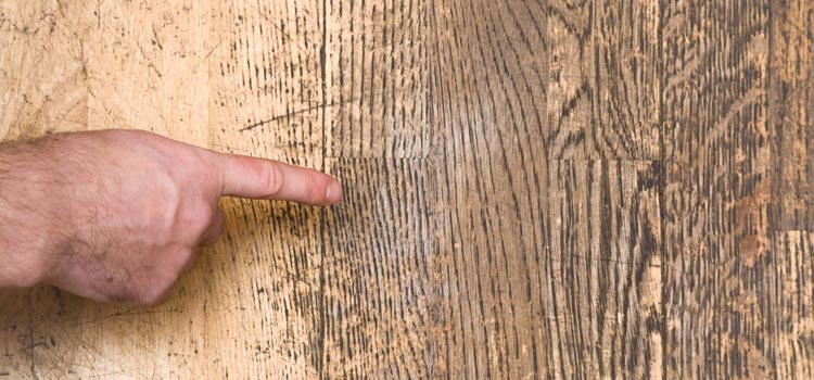 Wood Door Scratch Repair in Aurora